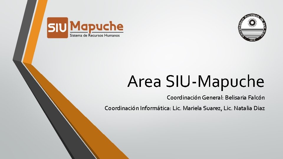 Area SIU-Mapuche Coordinación General: Belisaria Falcón Coordinación Informática: Lic. Mariela Suarez, Lic. Natalia Diaz