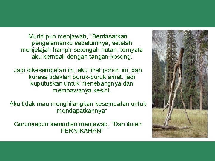 Murid pun menjawab, “Berdasarkan pengalamanku sebelumnya, setelah menjelajah hampir setengah hutan, ternyata aku kembali