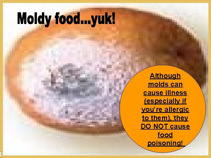Although molds can cause illness (especially if you’re allergic to them), they DO NOT
