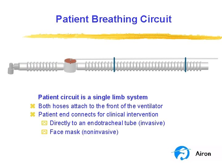 Patient Breathing Circuit Patient circuit is a single limb system z Both hoses attach