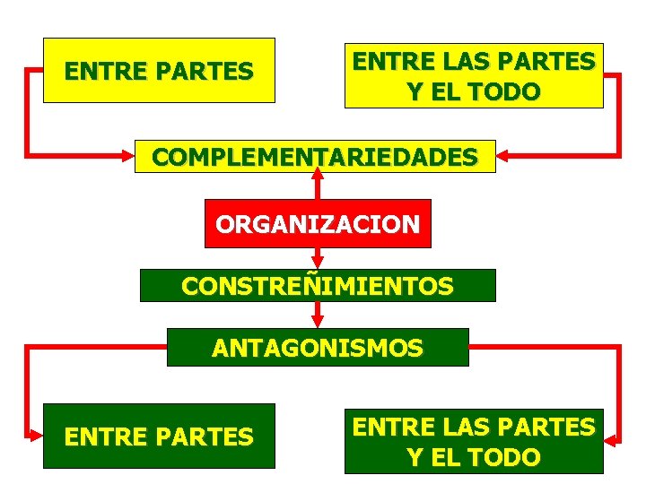 ENTRE PARTES ENTRE LAS PARTES Y EL TODO COMPLEMENTARIEDADES ORGANIZACION CONSTREÑIMIENTOS ANTAGONISMOS ENTRE PARTES