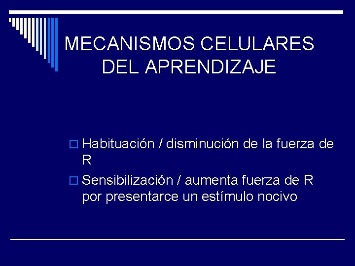 MECANISMOS CELULARES DEL APRENDIZAJE o Habituación / disminución de la fuerza de R o MECANISMOS CELULARES DEL APRENDIZAJE o Habituación / disminución de la fuerza de R o
