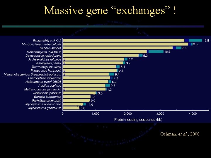Massive gene “exchanges” ! Ochman, et al. , 2000 