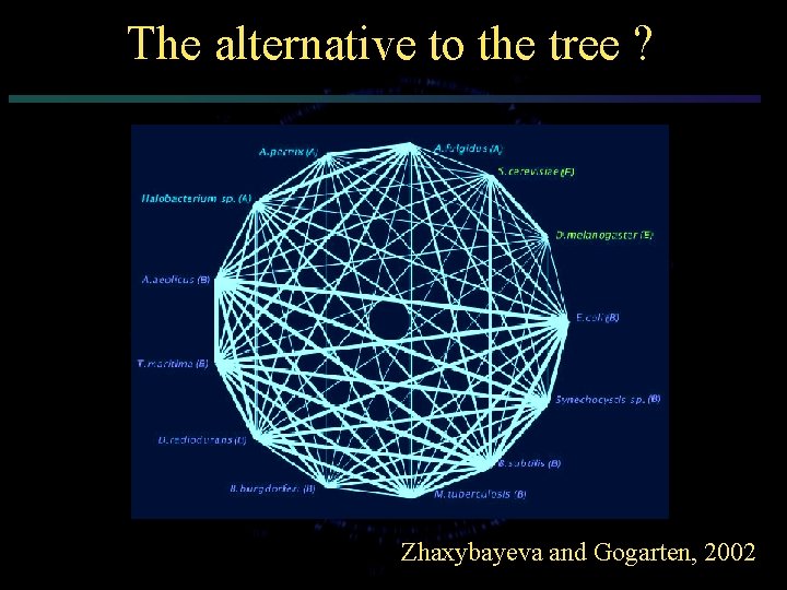 The alternative to the tree ? Zhaxybayeva and Gogarten, 2002 