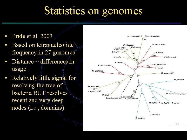 Statistics on genomes • Pride et al. 2003 • Based on tetranucleotide frequency in