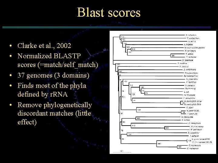 Blast scores • Clarke et al. , 2002 • Normalized BLASTP scores (=match/self_match) •