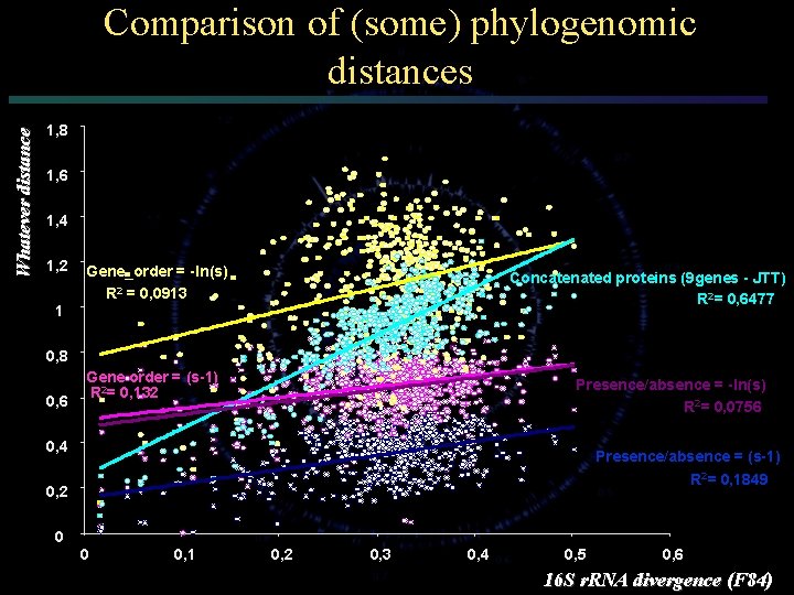 Whatever distance Comparison of (some) phylogenomic distances 1, 8 1, 6 1, 4 1,