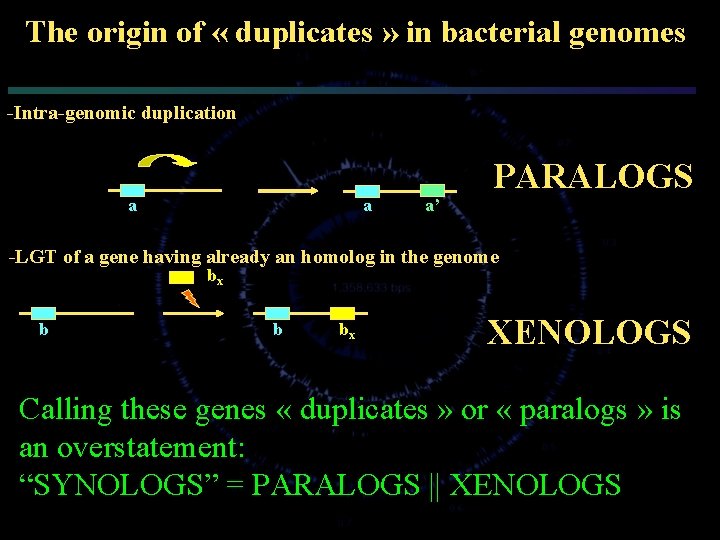 The origin of « duplicates » in bacterial genomes -Intra-genomic duplication a a a’