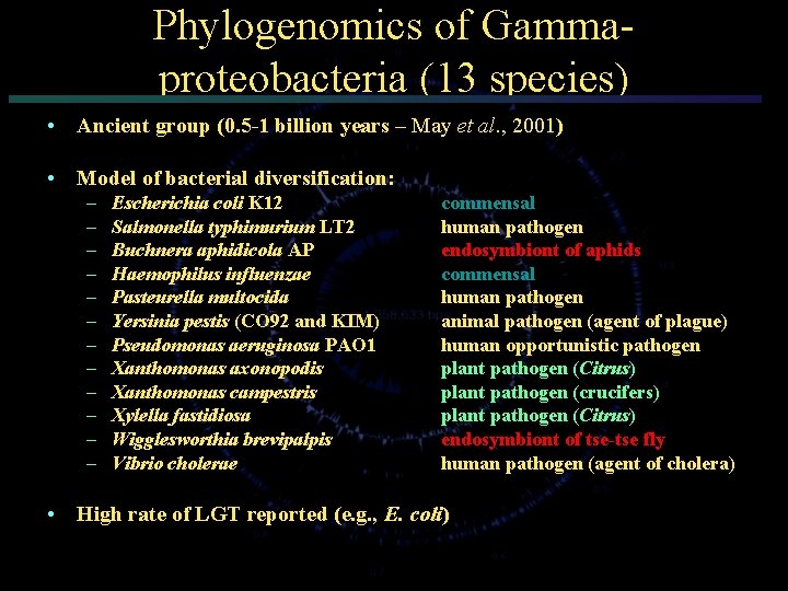 Phylogenomics of Gammaproteobacteria (13 species) • Ancient group (0. 5 -1 billion years –