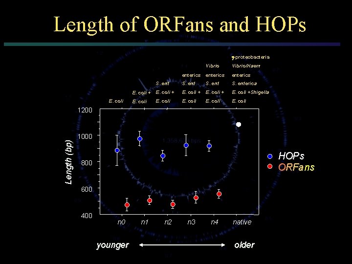 Length of ORFans and HOPs -proteobacteria E. coli Vibrio/Haem enterics S. enterica E. coli
