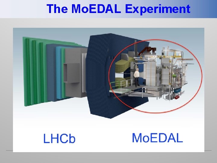 The Mo. EDAL Experiment 