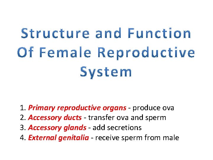 1. Primary reproductive organs - produce ova 2. Accessory ducts - transfer ova and