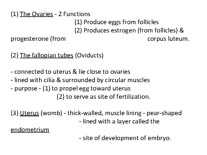 (1) The Ovaries - 2 Functions (1) Produce eggs from follicles (2) Produces estrogen