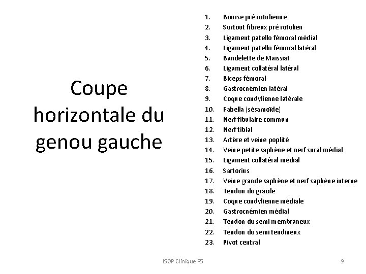 Coupe horizontale du genou gauche ISOP Clinique P 5 1. 2. 3. 4. 5.
