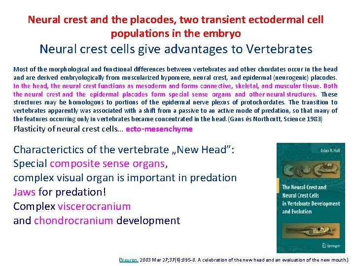 Neural crest and the placodes, two transient ectodermal cell populations in the embryo Neural