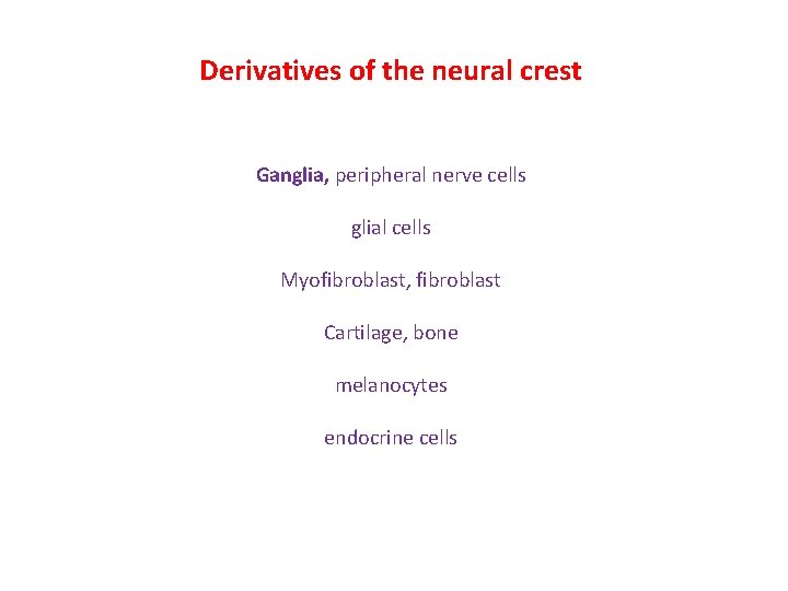 Derivatives of the neural crest Ganglia, peripheral nerve cells glial cells Myofibroblast, fibroblast Cartilage,