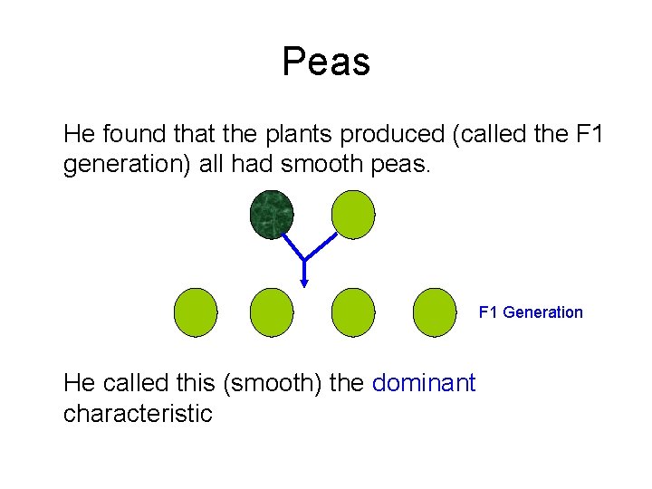 Peas He found that the plants produced (called the F 1 generation) all had