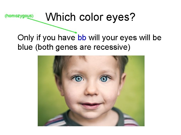 (homozygous) Which color eyes? Only if you have bb will your eyes will be