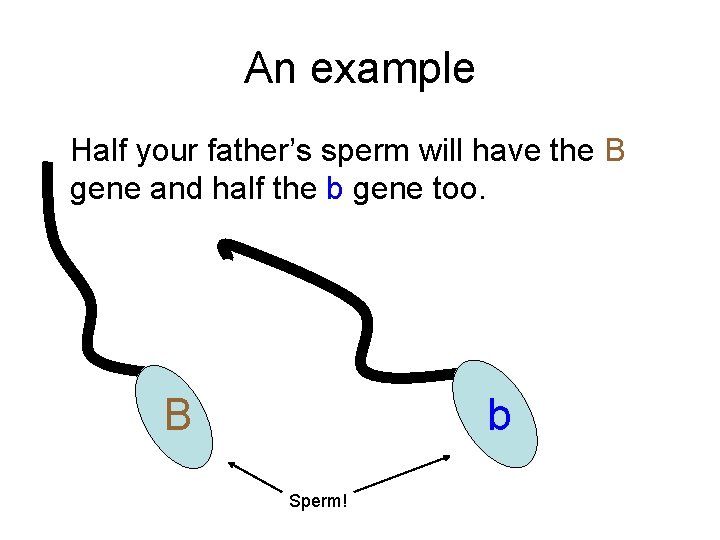 An example Half your father’s sperm will have the B gene and half the