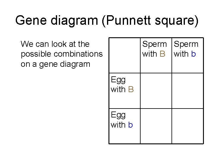 Gene diagram (Punnett square) Sperm with B with b We can look at the