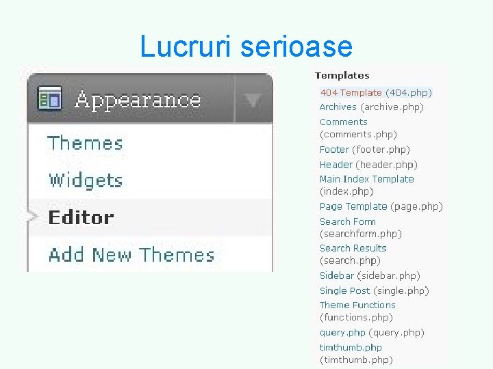 Lucruri serioase 