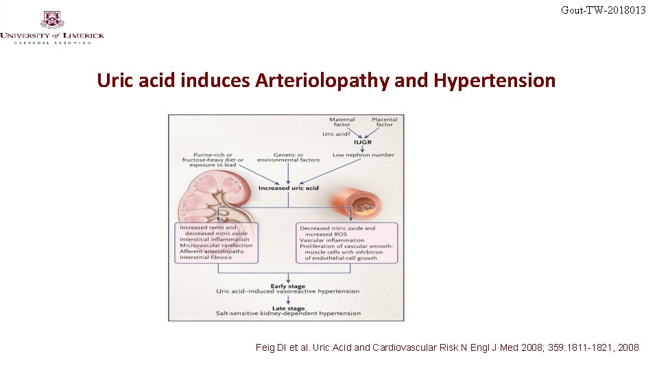 Gout-TW-2018013 Uric acid induces Arteriolopathy and Hypertension Feig DI et al. Uric Acid and