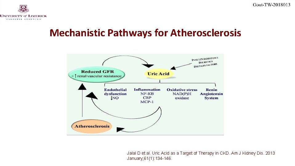 Mechanistic Pathways for Atherosclerosis Jalal D et al. Uric Acid as a Target of