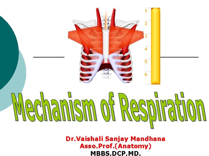 Dr. Vaishali Sanjay Mandhana Asso. Prof. (Anatomy) MBBS, DCP, MD. 