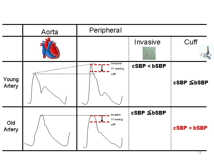 The relation between aortic SBP and brachial SBP in young or old patients. Aorta The relation between aortic SBP and brachial SBP in young or old patients. Aorta