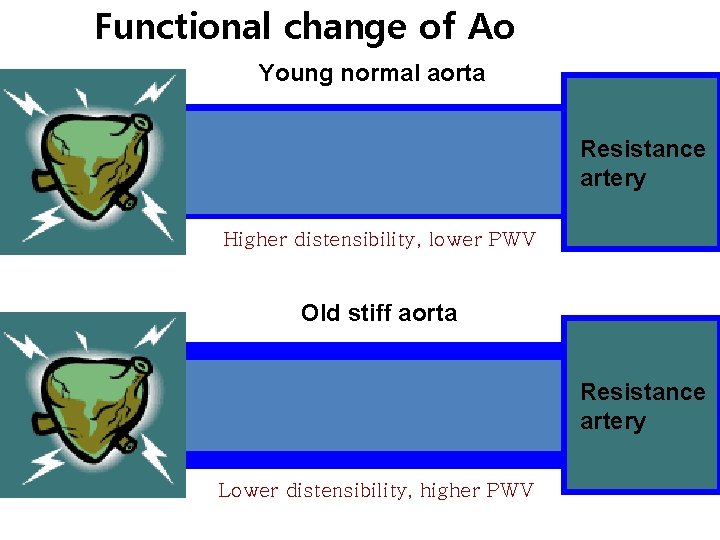 Functional change of Ao Young normal aorta Resistance artery Higher distensibility, lower PWV Old Functional change of Ao Young normal aorta Resistance artery Higher distensibility, lower PWV Old