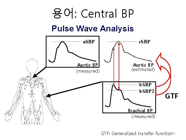 Terms 용어: Central BP Pulse Wave Analysis a. SBP c. SBP Aortic BP (measured) Terms 용어: Central BP Pulse Wave Analysis a. SBP c. SBP Aortic BP (measured)