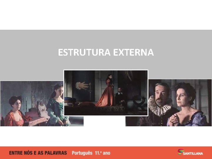 ESTRUTURA EXTERNA 