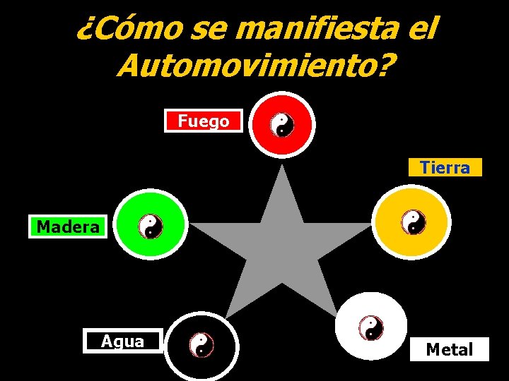 ¿Cómo se manifiesta el Automovimiento? Fuego Tierra Madera Agua Metal ¿Cómo se manifiesta el Automovimiento? Fuego Tierra Madera Agua Metal