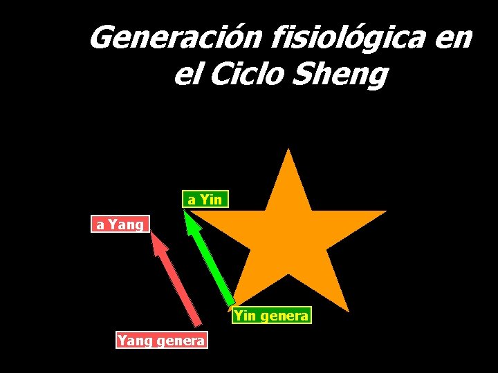 Generación fisiológica en el Ciclo Sheng a Yin a Yang Yin genera Yang genera Generación fisiológica en el Ciclo Sheng a Yin a Yang Yin genera Yang genera