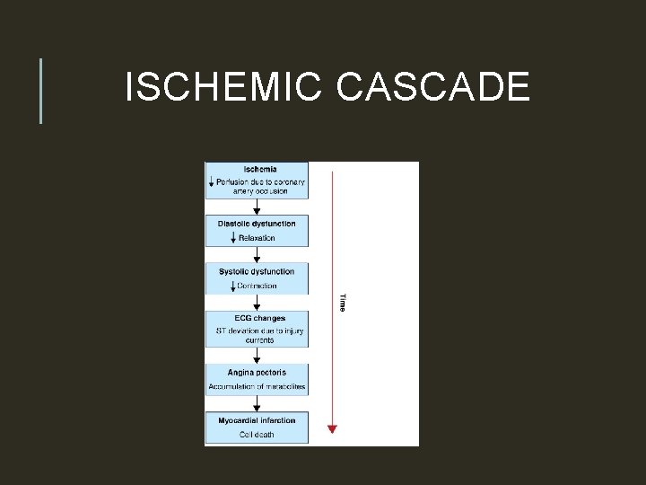 ISCHEMIC CASCADE 
