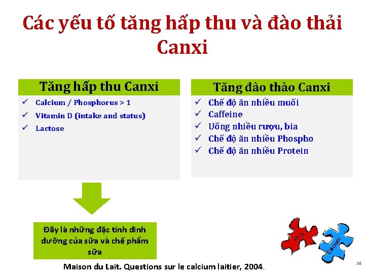 Các yếu tố tăng hấp thu và đào thải Canxi Tăng hấp thu Canxi Các yếu tố tăng hấp thu và đào thải Canxi Tăng hấp thu Canxi