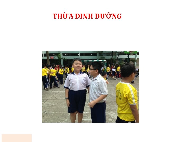 THỪA DINH DƯỠNG THỪA DINH DƯỠNG