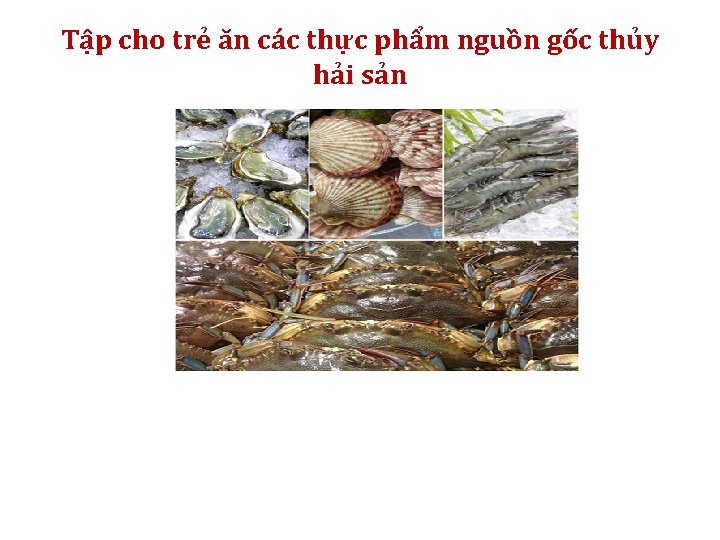 Tập cho trẻ ăn các thực phẩm nguồn gốc thủy hải sản Tập cho trẻ ăn các thực phẩm nguồn gốc thủy hải sản