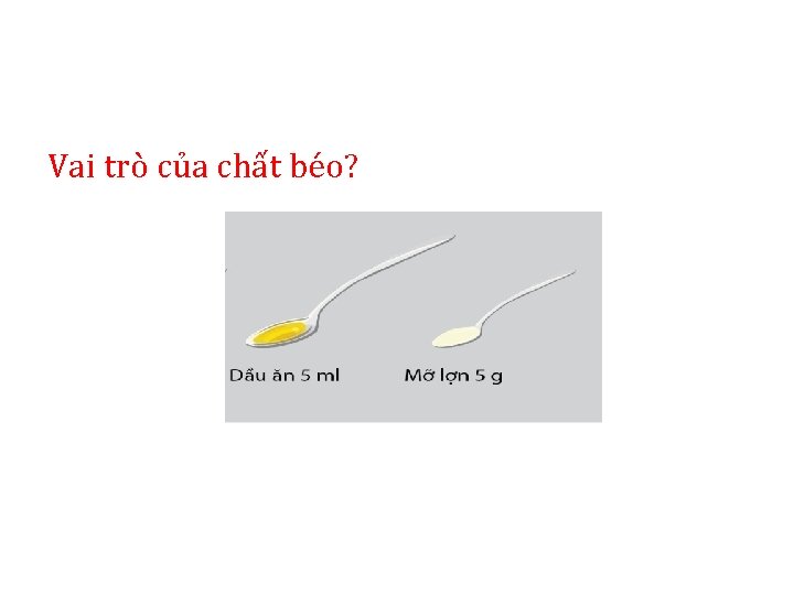 Vai trò của chất béo? Vai trò của chất béo?