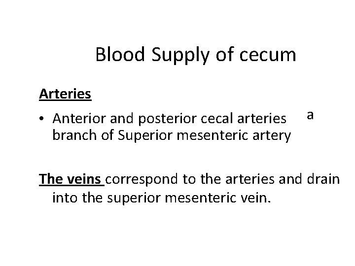 Blood Supply of cecum Arteries • Anterior and posterior cecal arteries a branch of