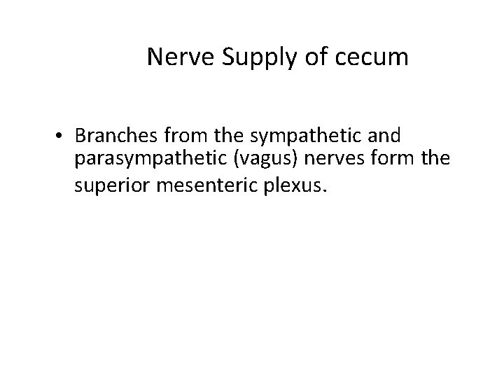 Nerve Supply of cecum • Branches from the sympathetic and parasympathetic (vagus) nerves form