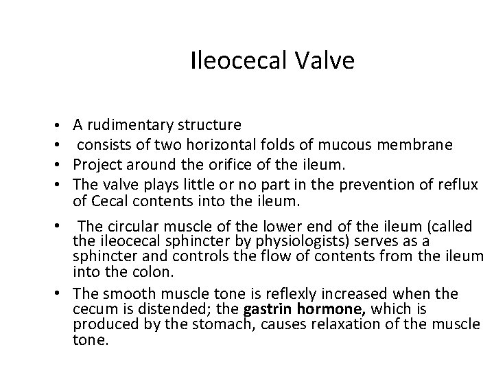 Ileocecal Valve A rudimentary structure consists of two horizontal folds of mucous membrane Project