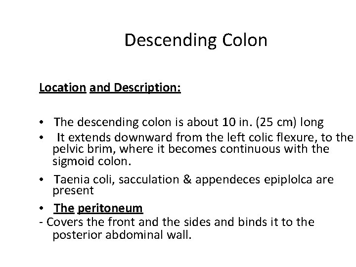 Descending Colon Location and Description: • The descending colon is about 10 in. (25