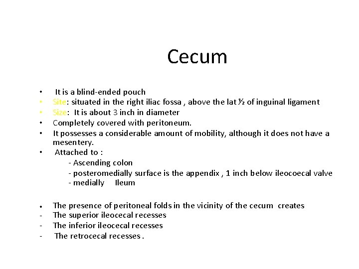 Cecum • • - It is a blind-ended pouch Site: situated in the right