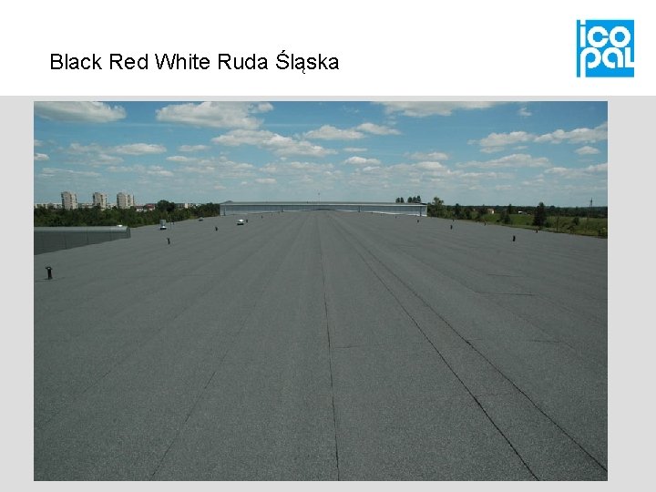 Black Red White Ruda Śląska 