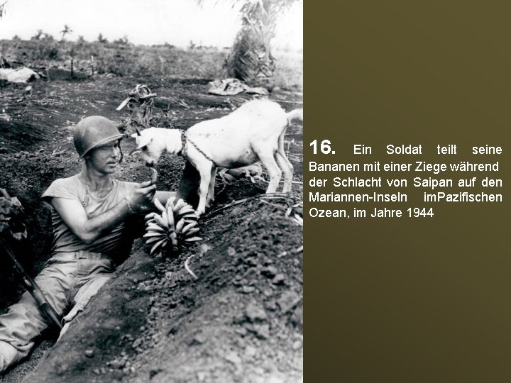 16. Ein Soldat teilt seine Bananen mit einer Ziege während der Schlacht von Saipan