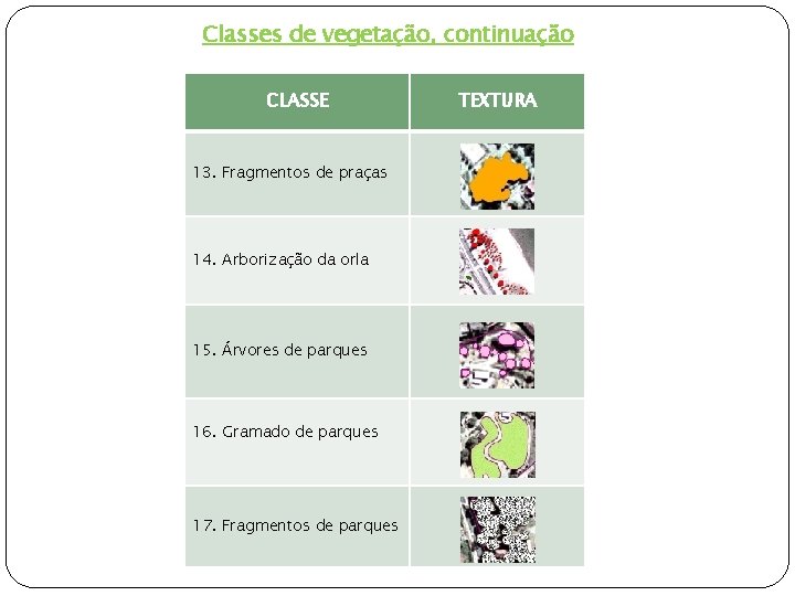 Classes de vegetação, continuação CLASSE 13. Fragmentos de praças 14. Arborização da orla 15.