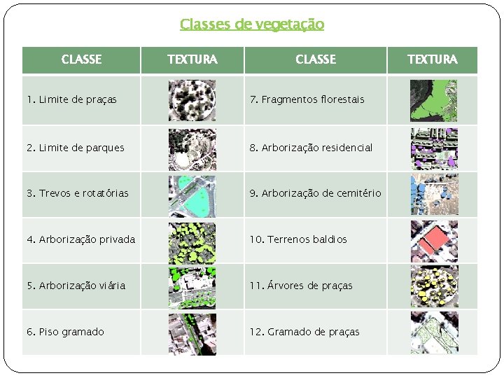 Classes de vegetação CLASSE TEXTURA CLASSE 1. Limite de praças 7. Fragmentos florestais 2.