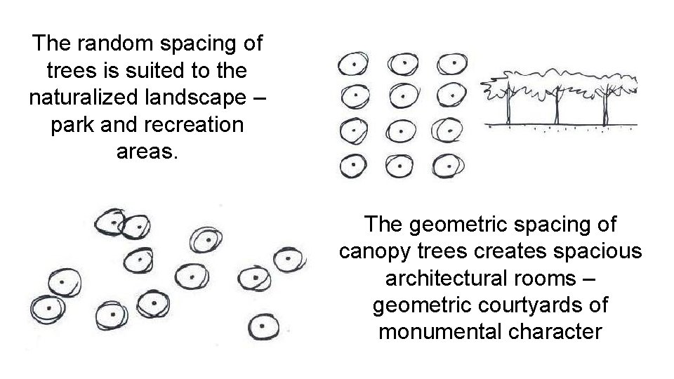 The random spacing of trees is suited to the naturalized landscape – park and