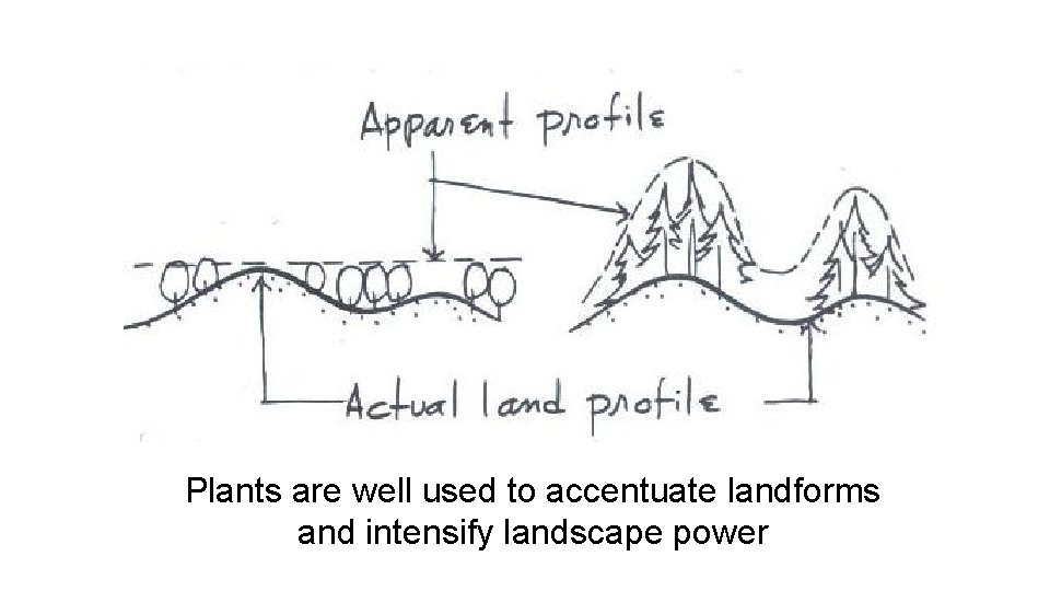 Plants are well used to accentuate landforms and intensify landscape power 